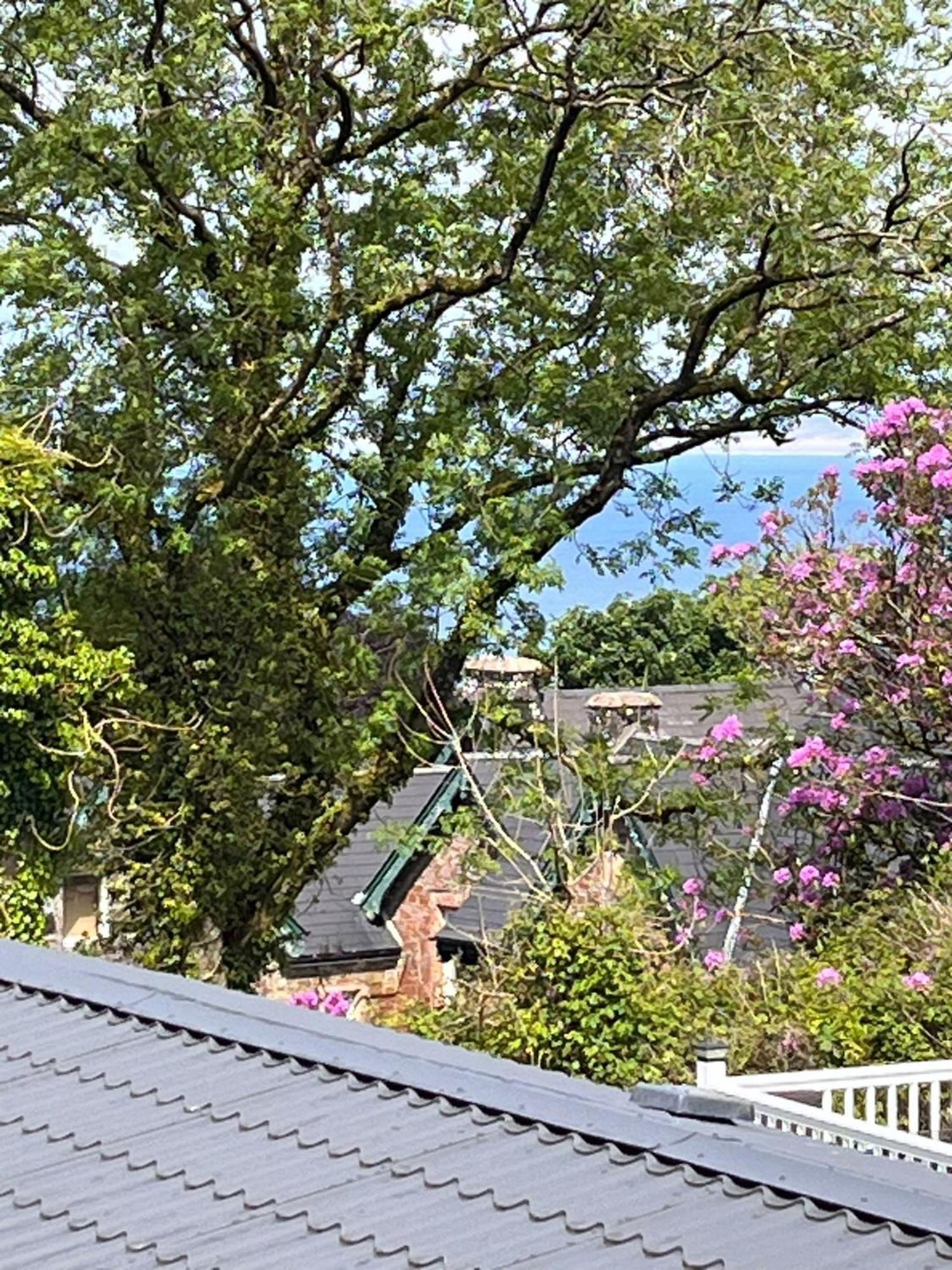 Bucks MillsOcean View At Gladeアパートメント エクステリア 写真